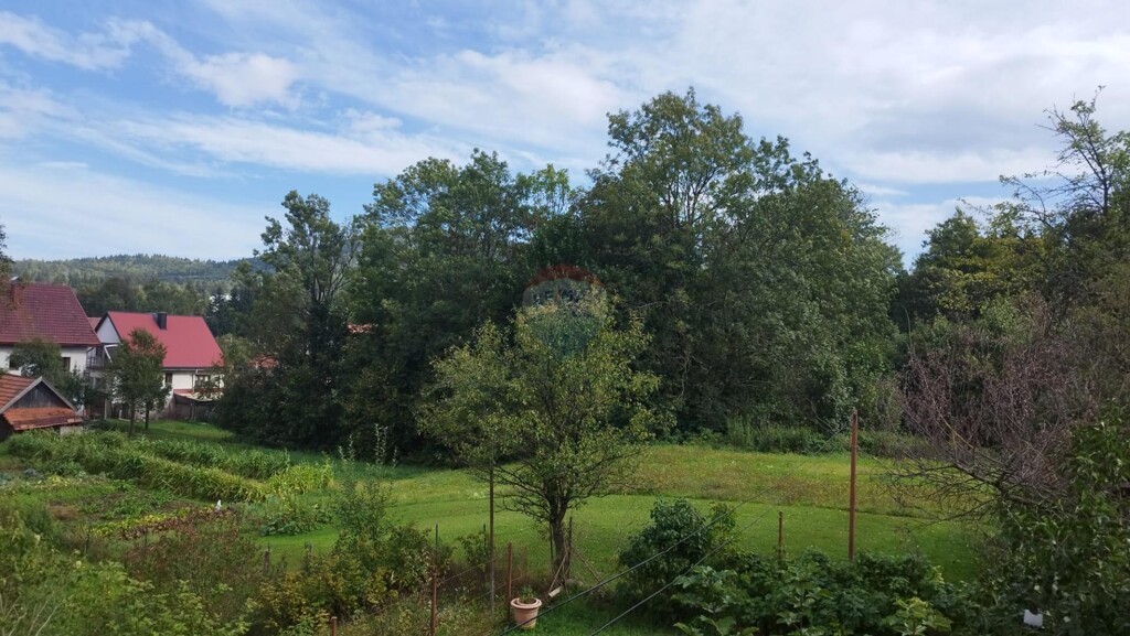Image 6125047 - 3