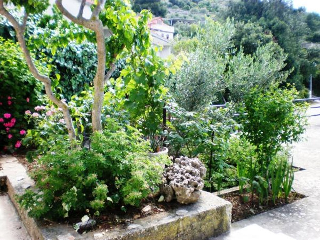 Image 3838691 - 10