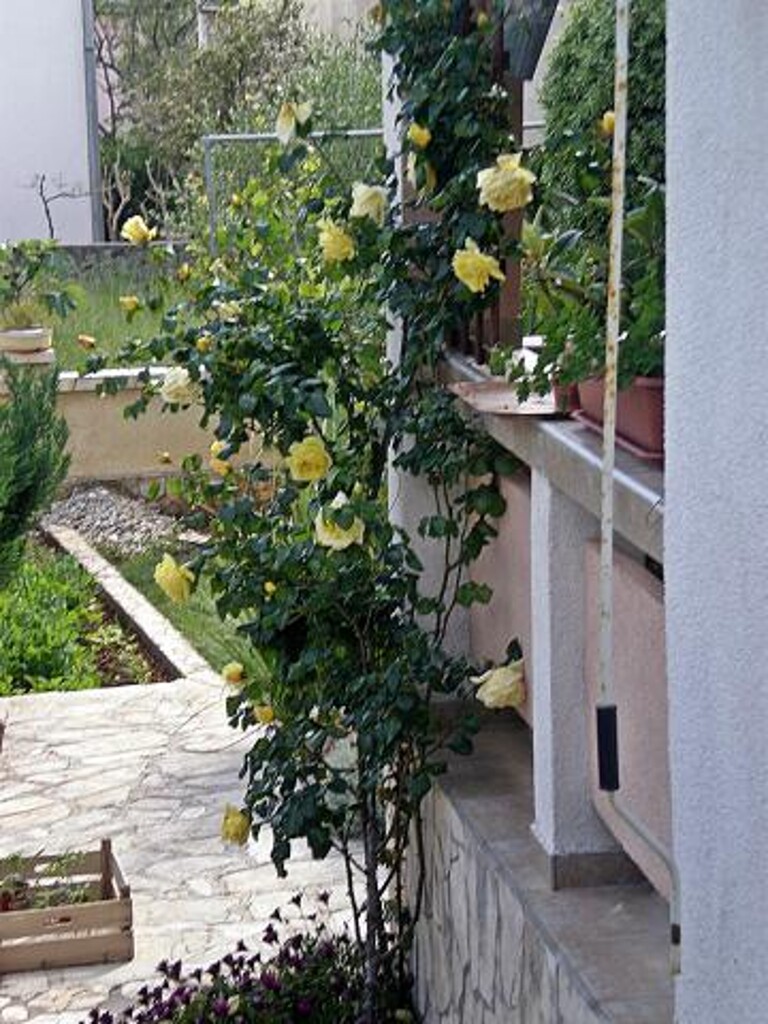 Image 3812710 - 12