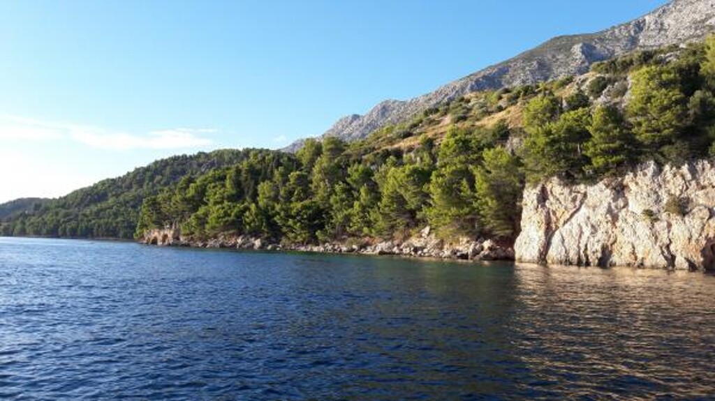 Image 3838628 - 14