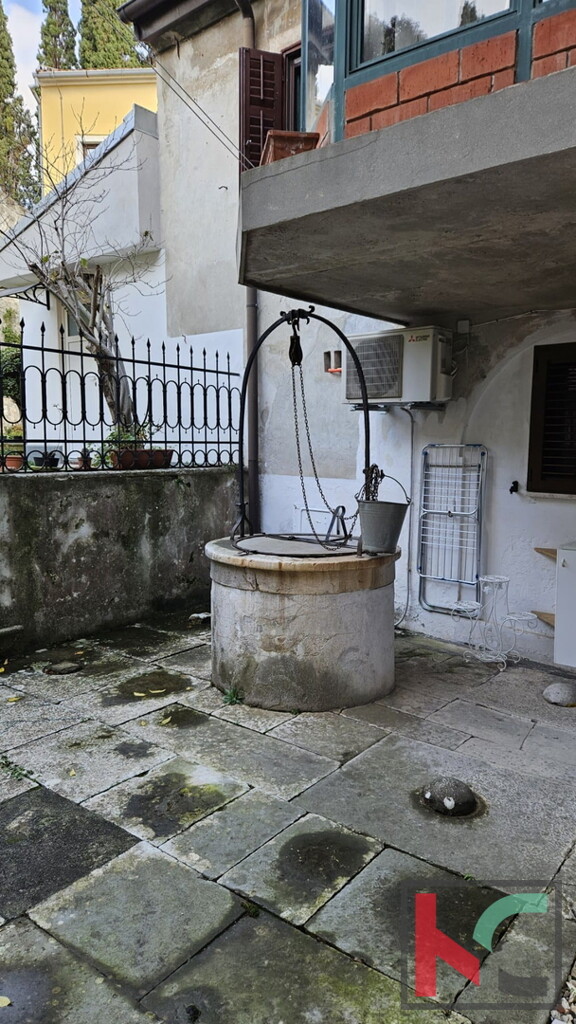 Image 17