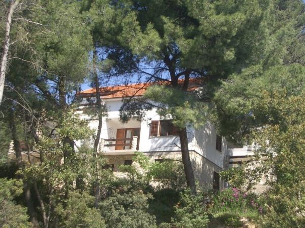 Image 3813736 - 1