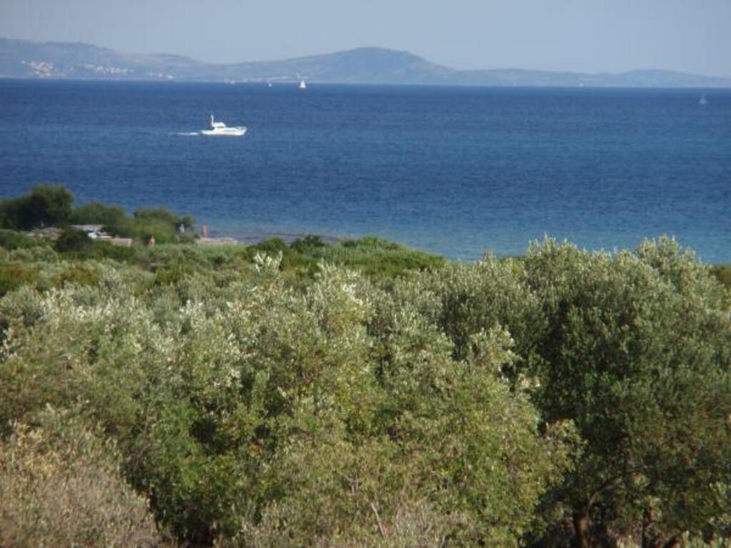 Image 3810956 - 17