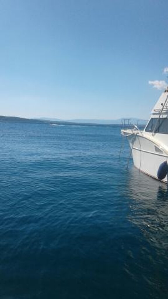 Image 3838524 - 24