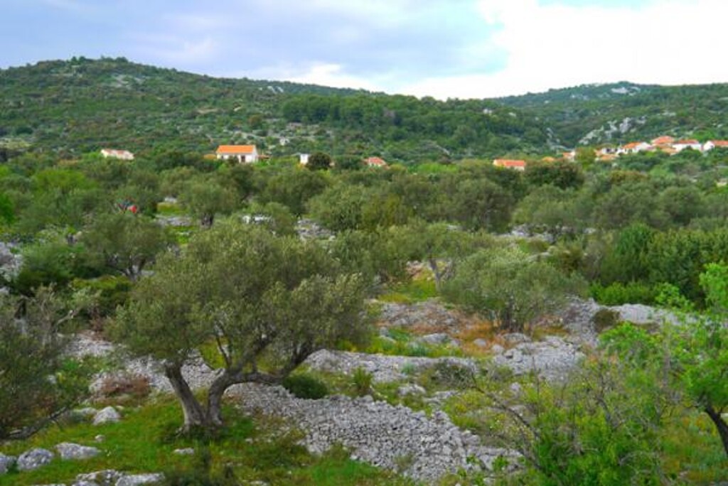 Image 3812281 - 11