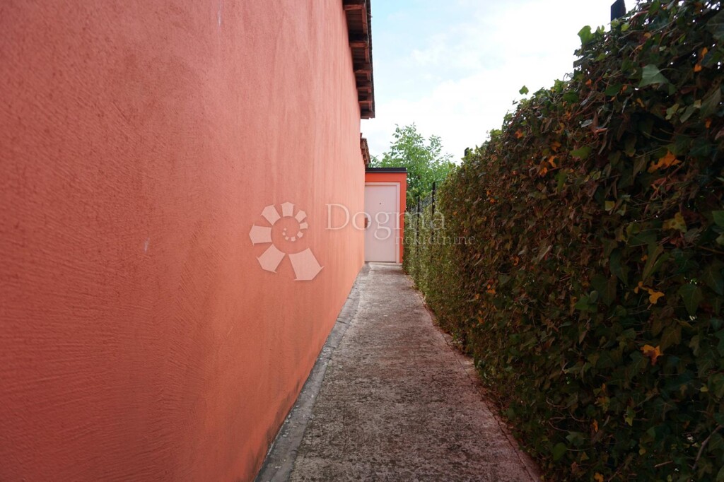 Image 14