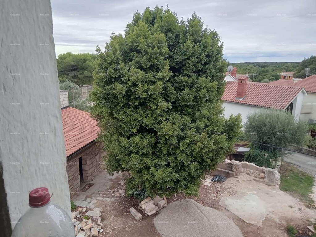 Image 13