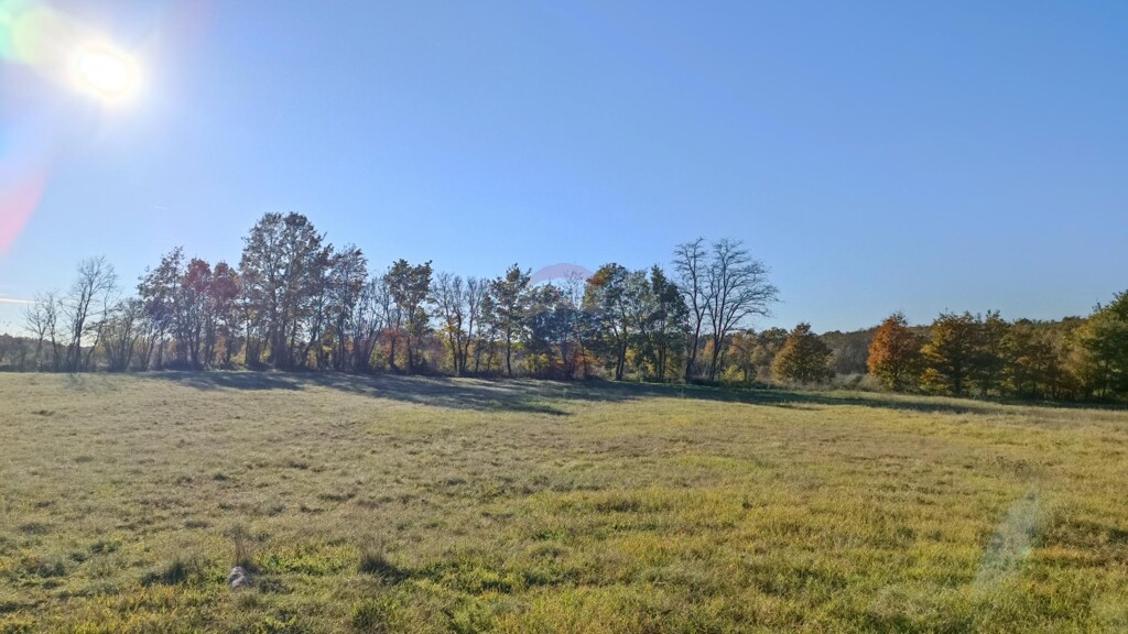 Image 5429012 - 5