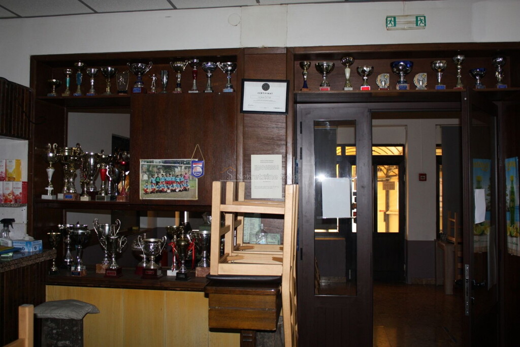 Image 19