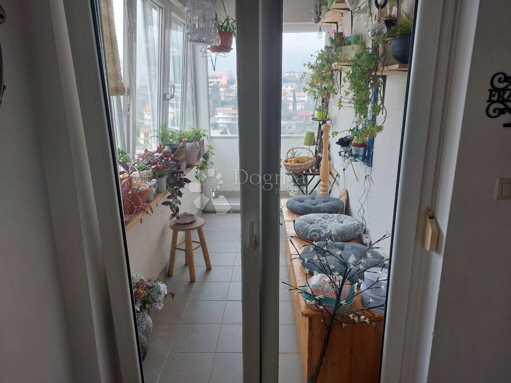 Image 13