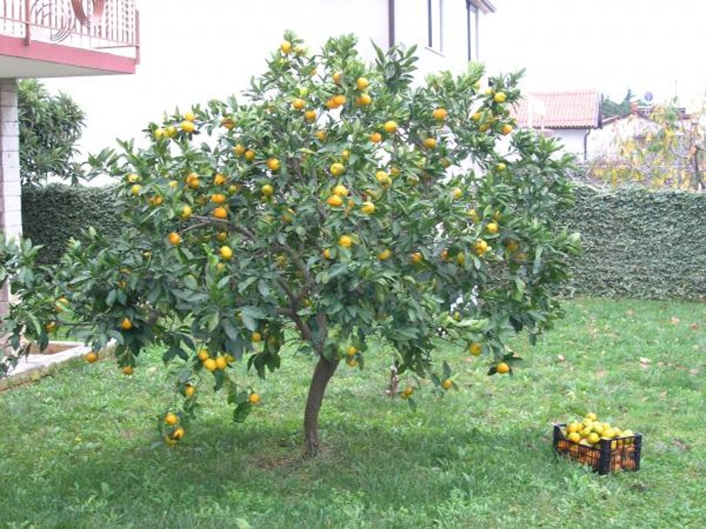 Image 3811473 - 9