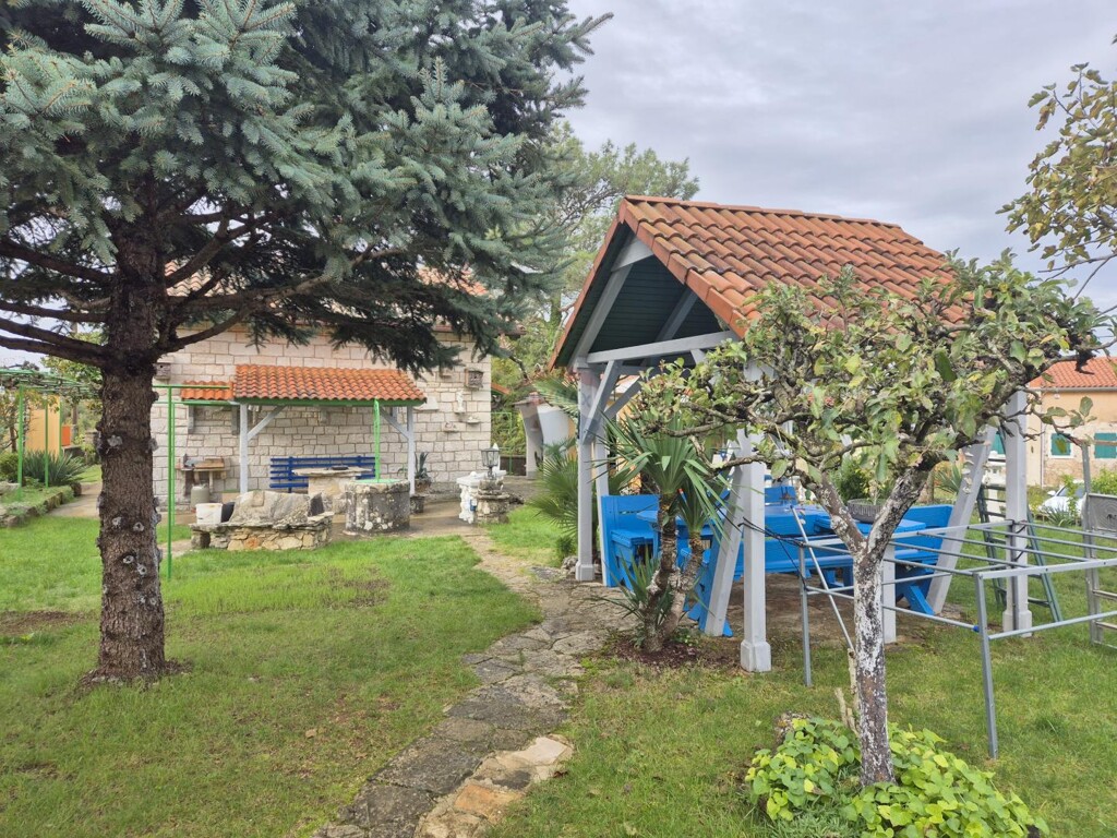 Image 11