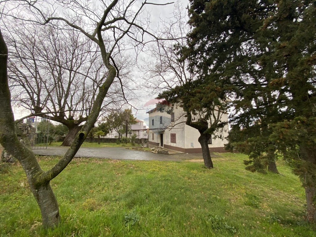 Image 5430107 - 5