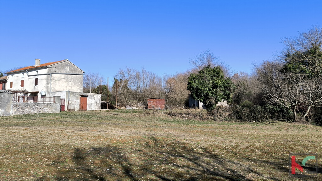 Image 13