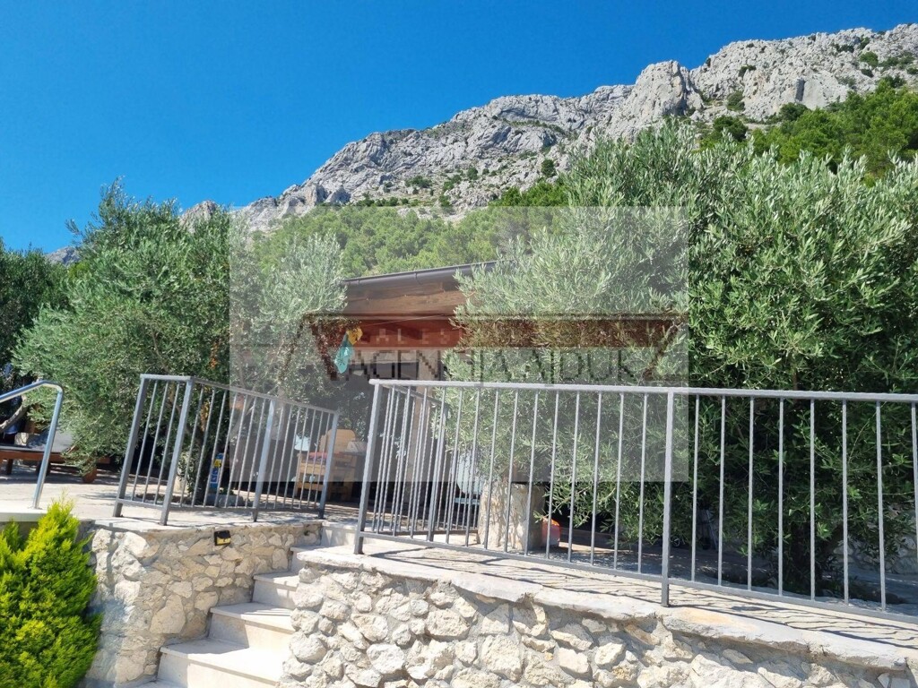 Image 21