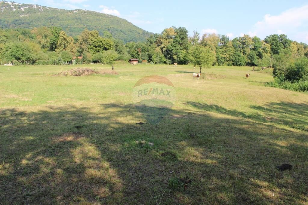 Image 5410208 - 1