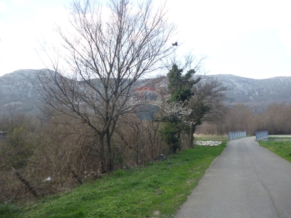 Image 5411063 - 3