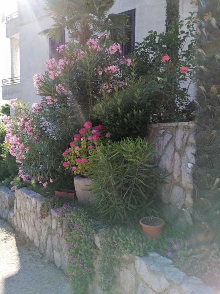 Image 3838689 - 9