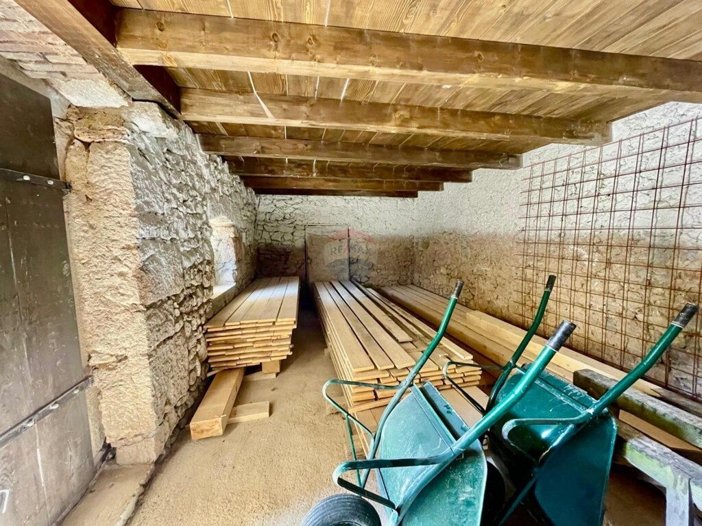 Image 19