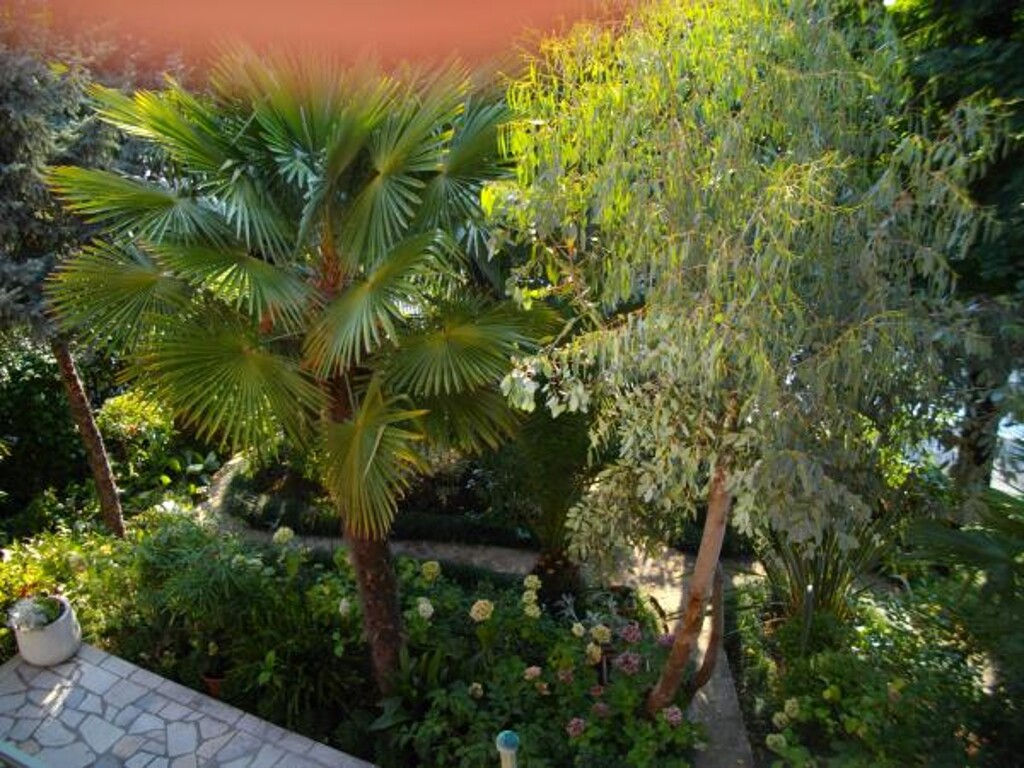 Image 3812579 - 12