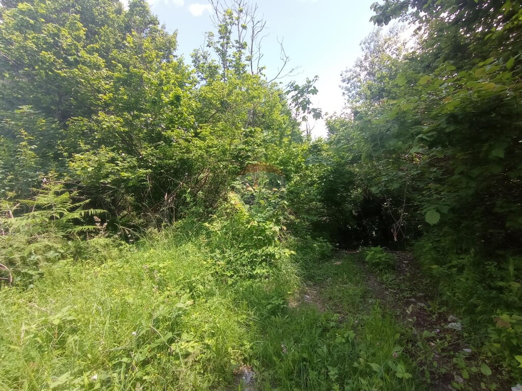 Image 5429715 - 3
