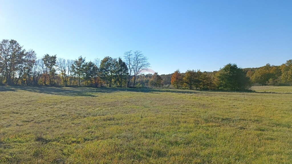 Image 5429012 - 1