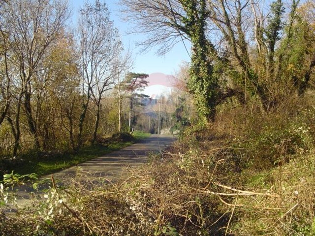 Image 5410943 - 5