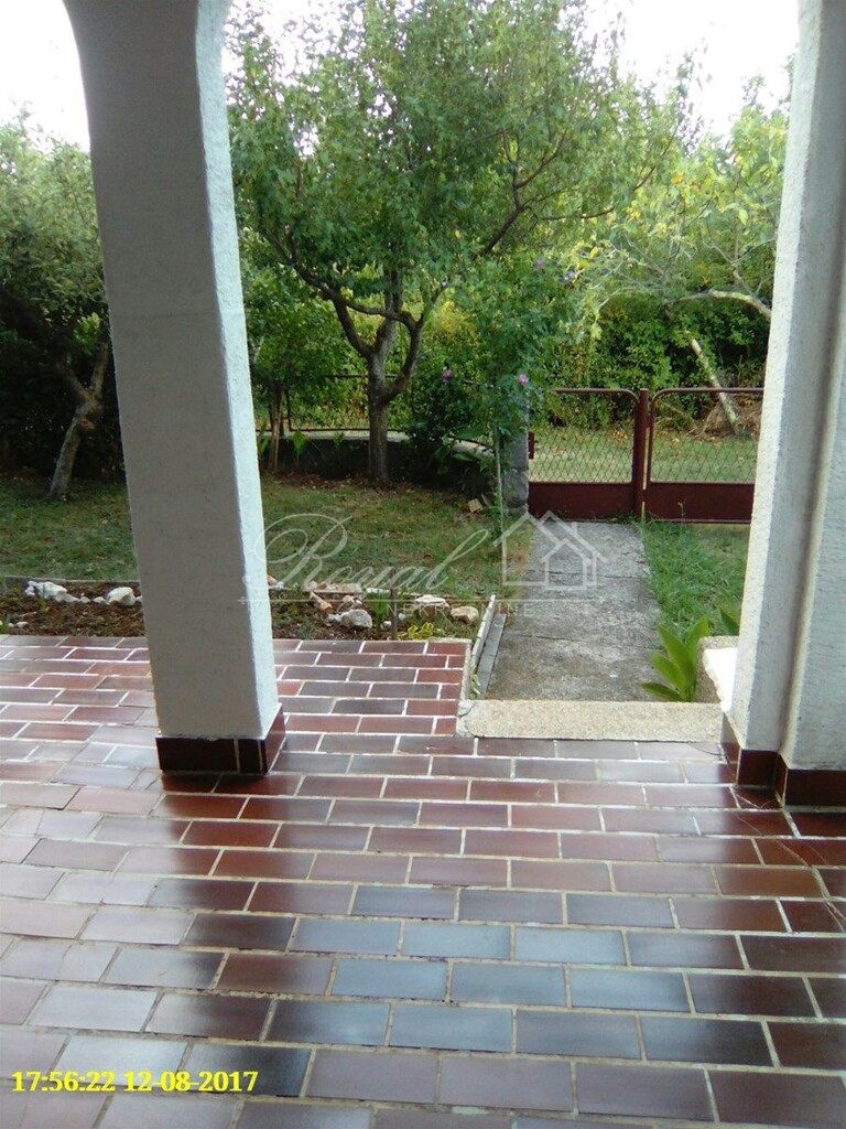 Image 15