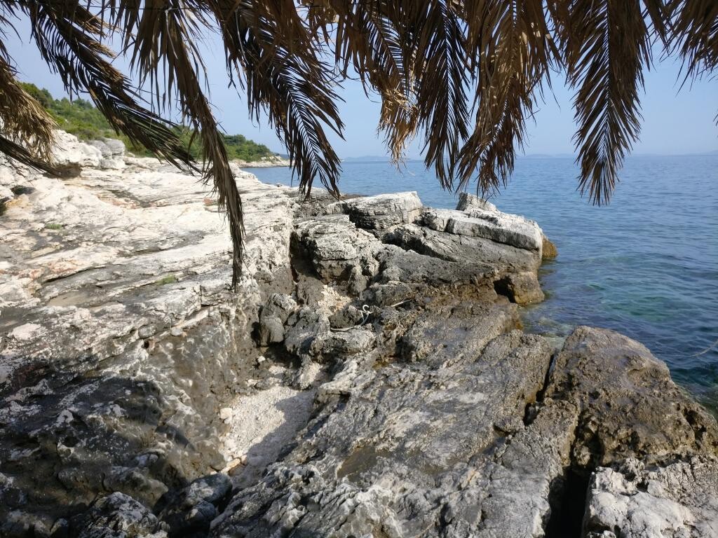 Image 18