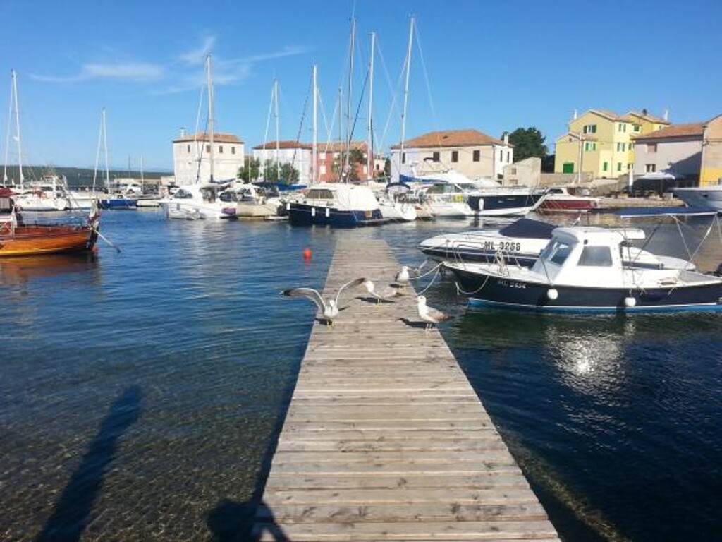 Image 3815319 - 7