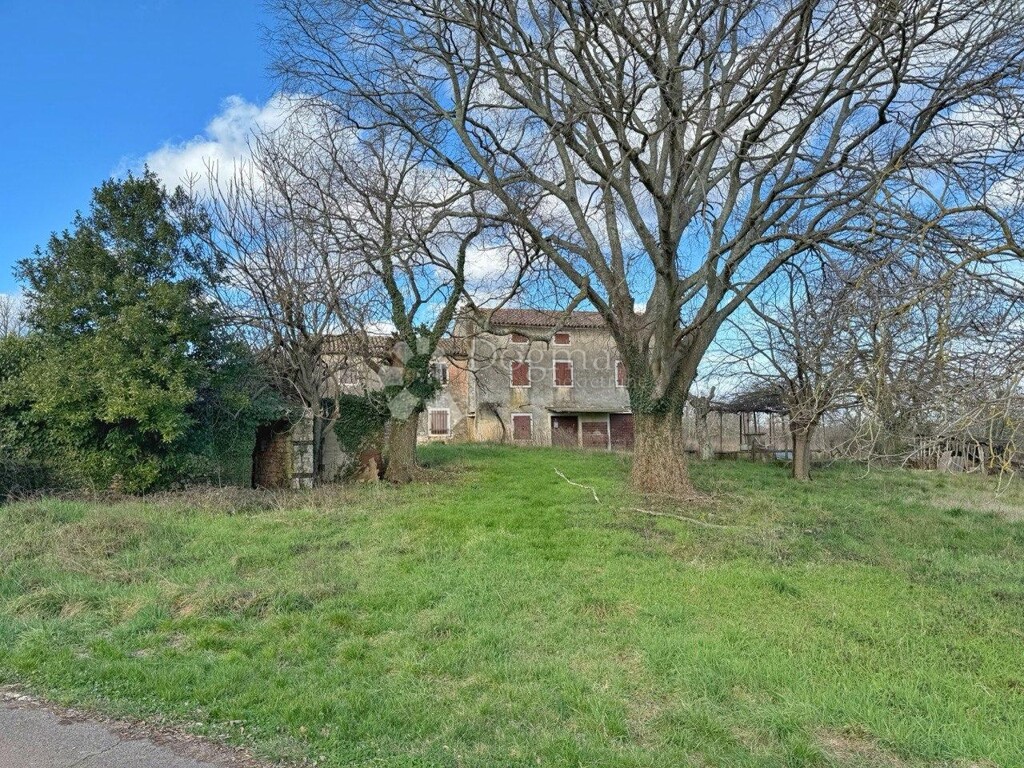 Image 16