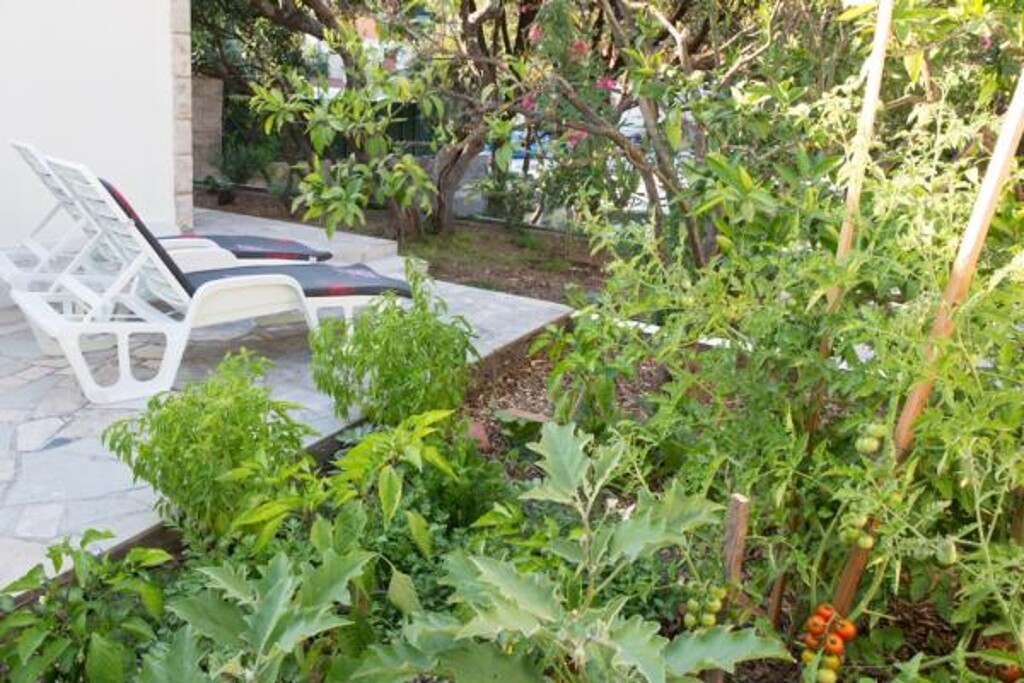 Image 3814816 - 7