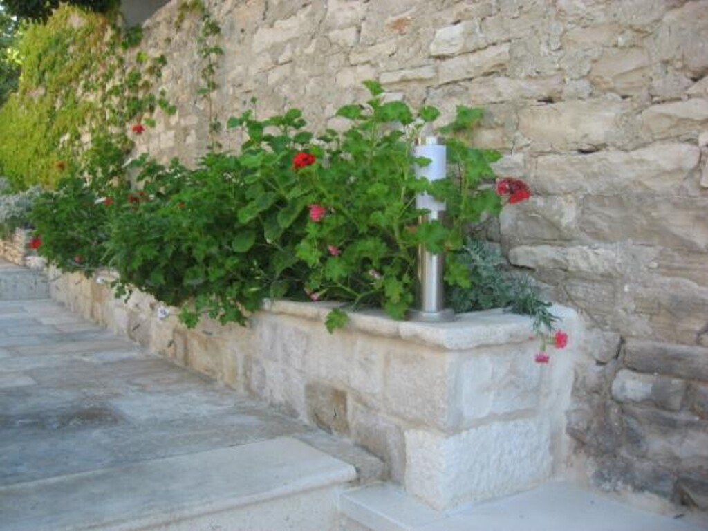 Image 3838505 - 8