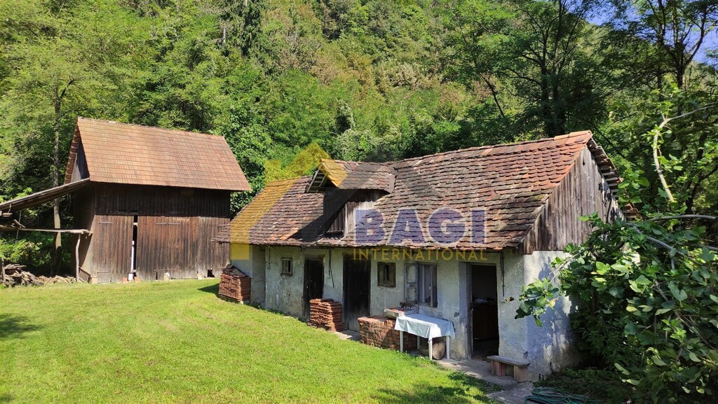 Image 15