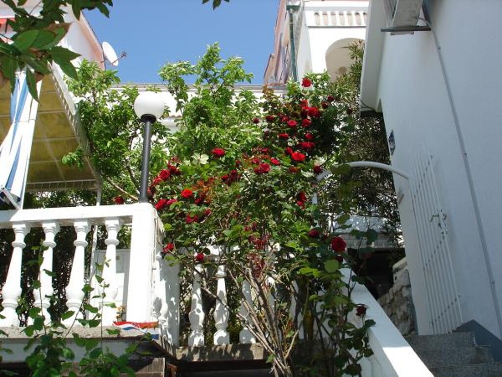 Image 3813773 - 2