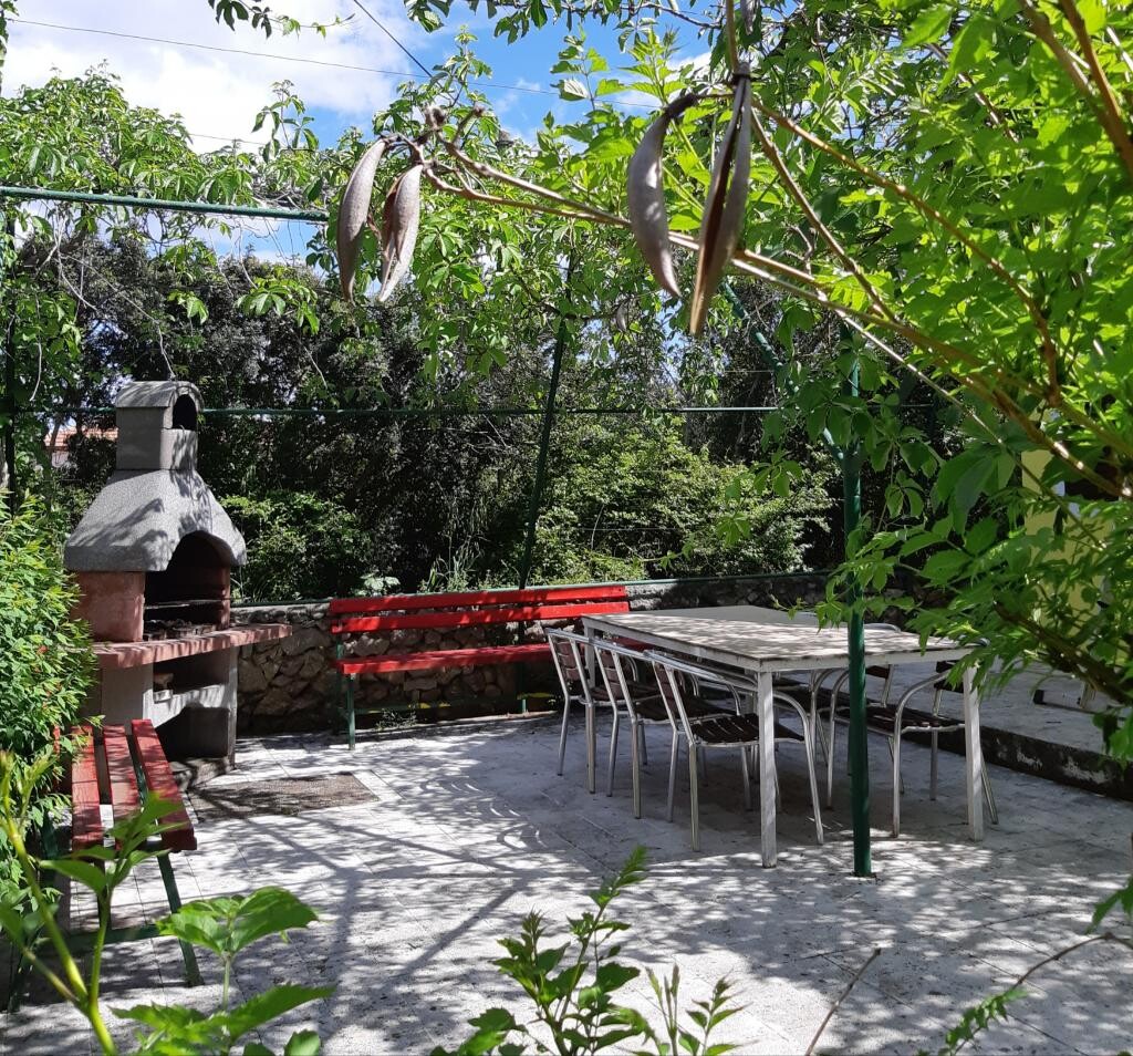 Image 3812611 - 17