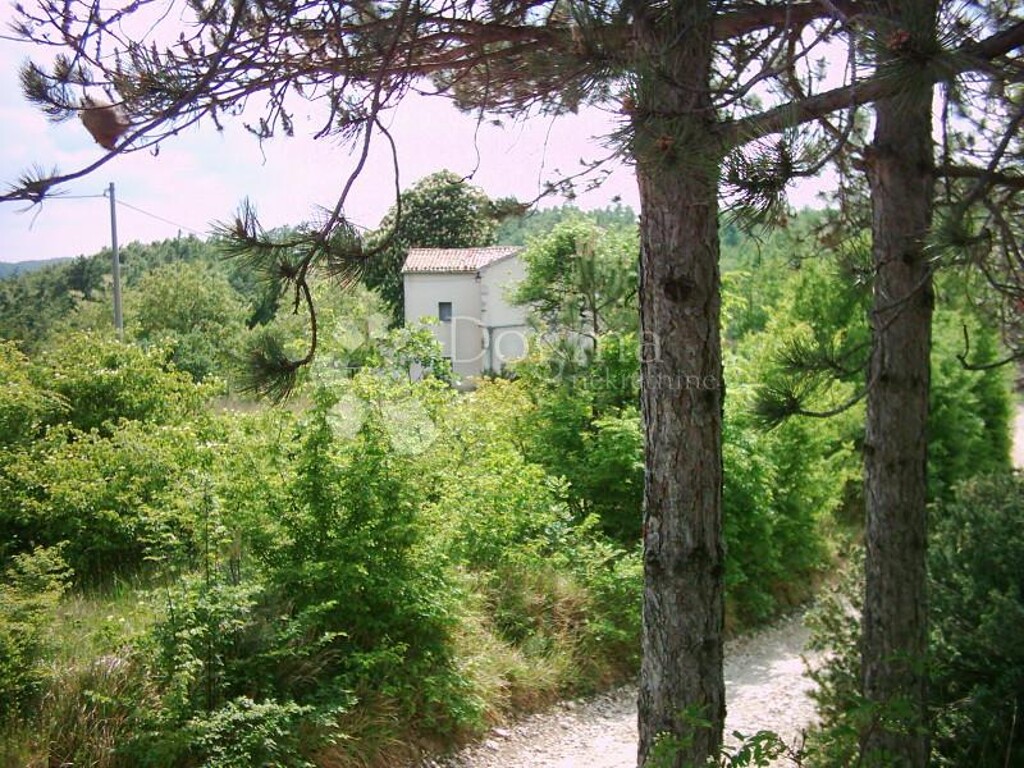 Image 9