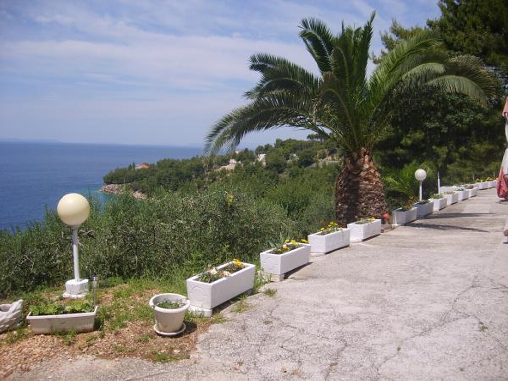 Image 3813418 - 13