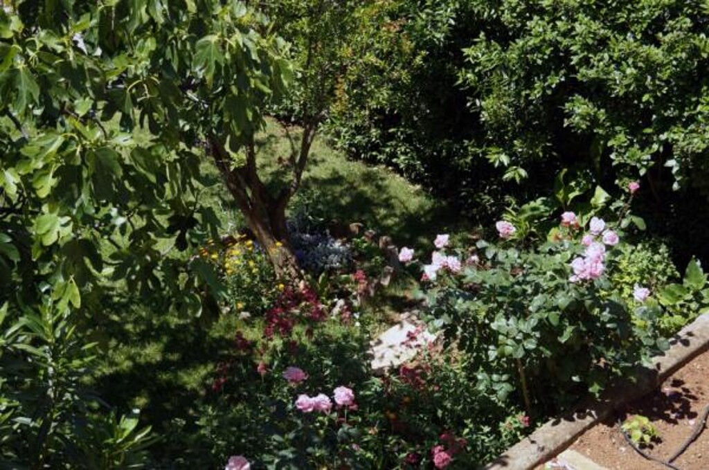 Image 3812459 - 6