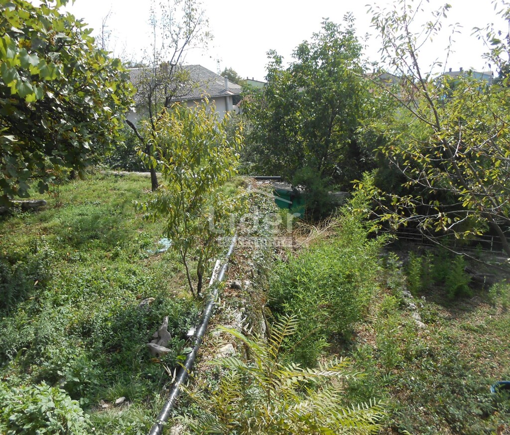 Image 6119086 - 9