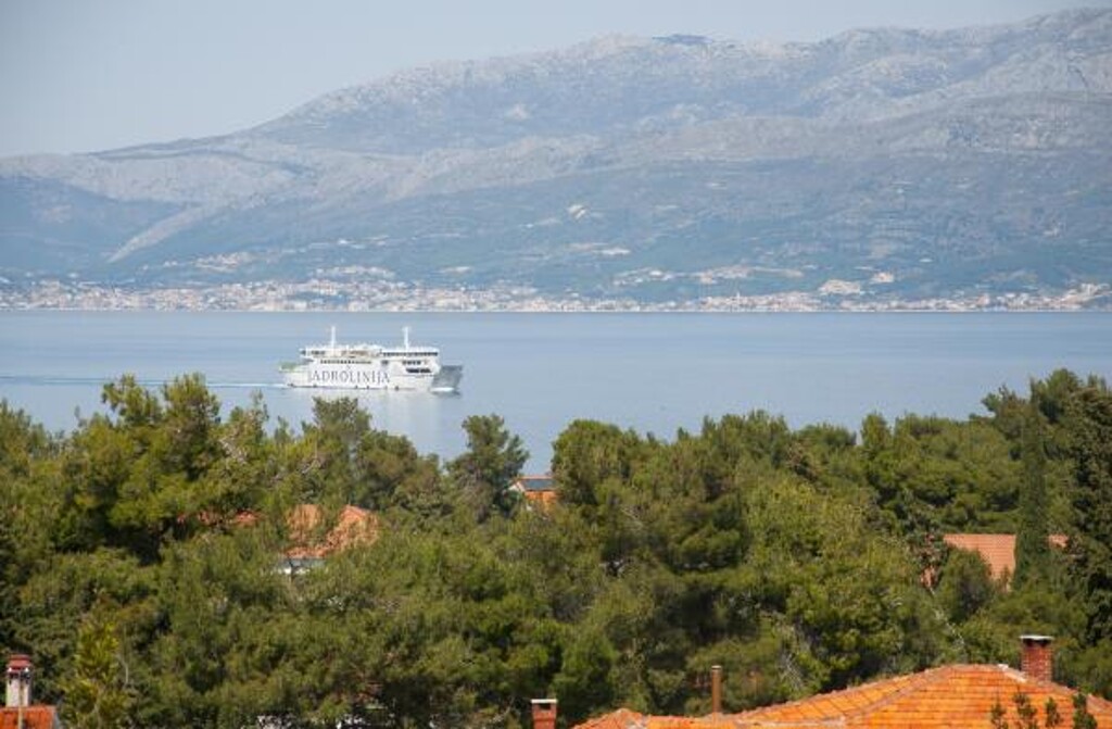 Image 3811209 - 8