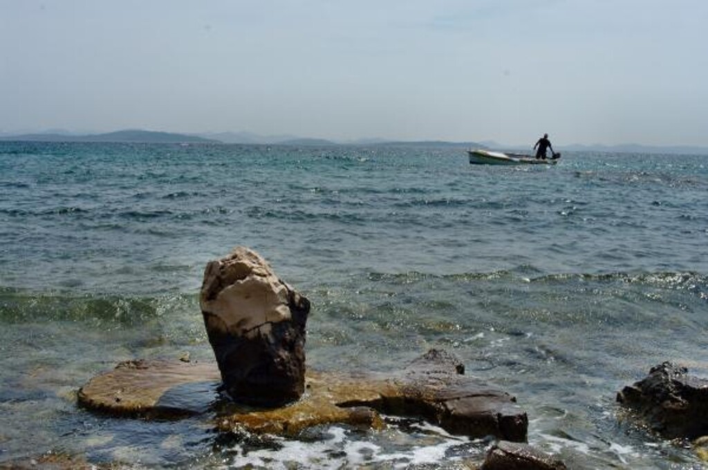 Image 14