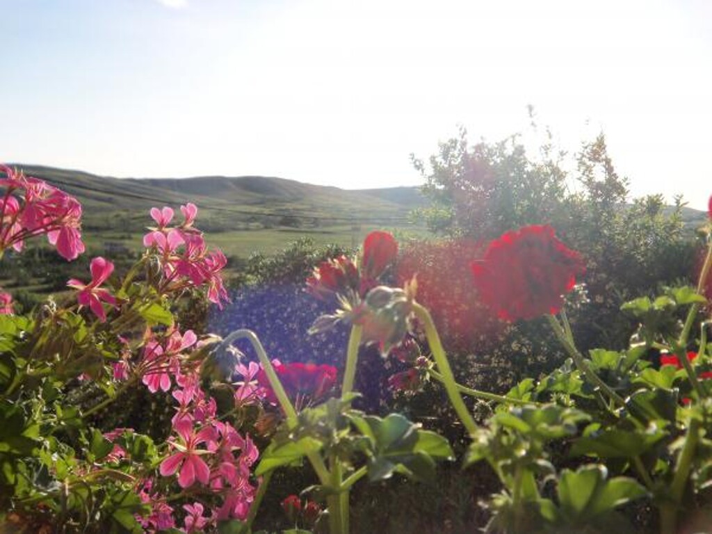 Image 3813194 - 17