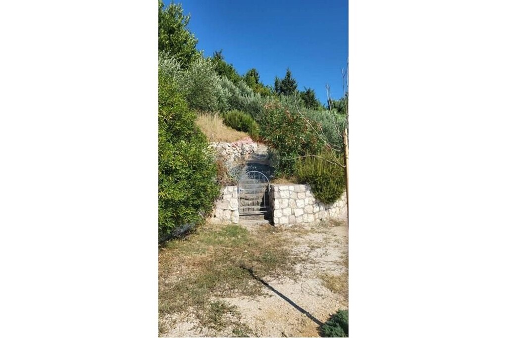 Image 13