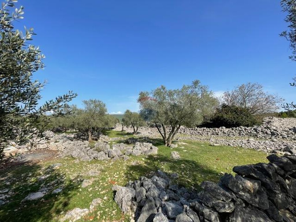 Image 18