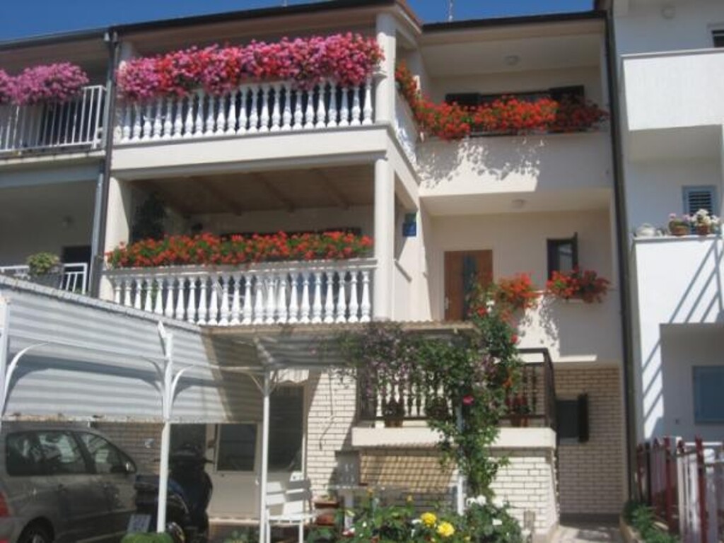 Image 3812263 - 1