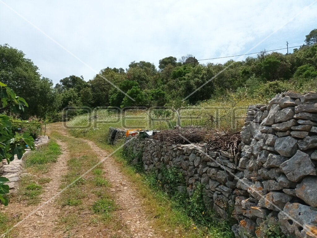 Image 15