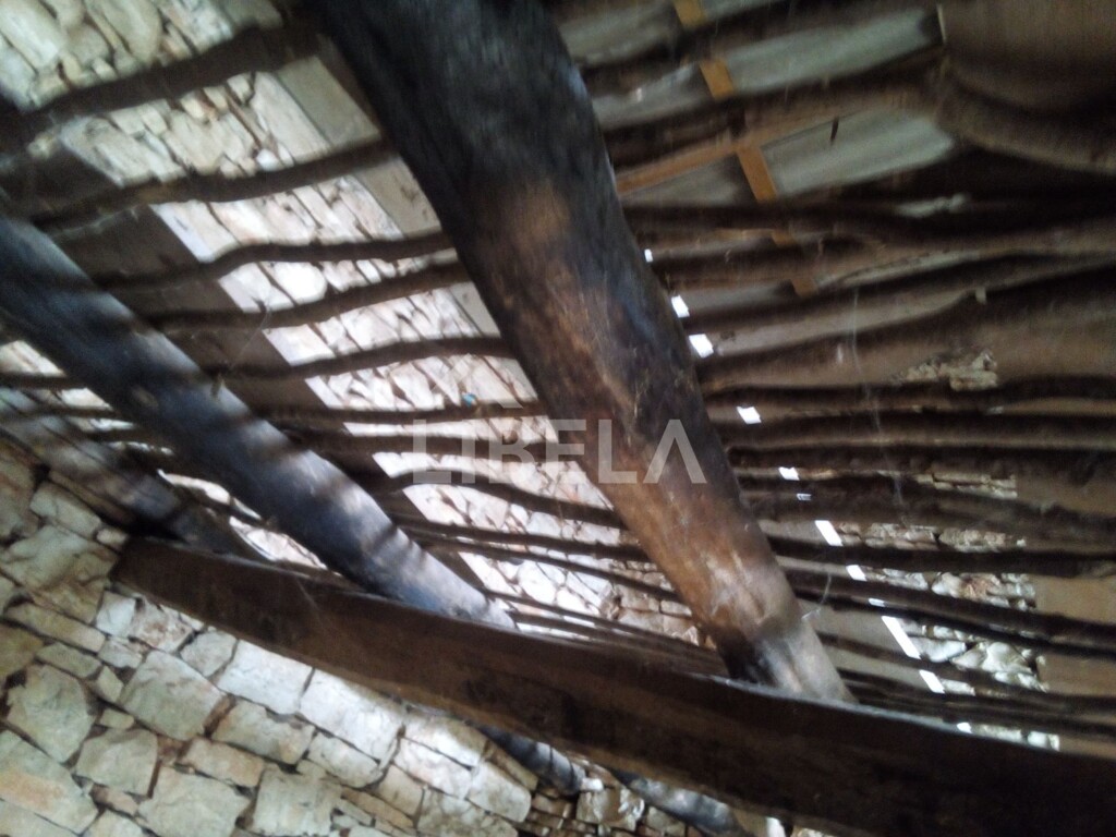 Image 15