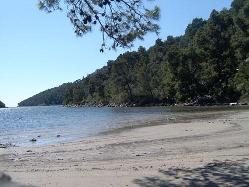 Image 3811908 - 24