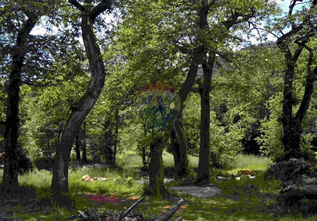 Image 5411023 - 2